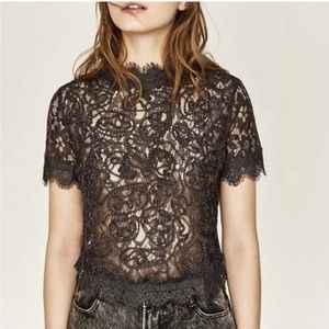 Zara Trafaluc Black Lace Embroidered Crop Top Semi Sheer Back Zip Womens Sz M